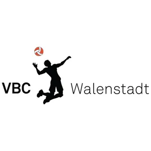 Club Logo VBC Walenstadt 1