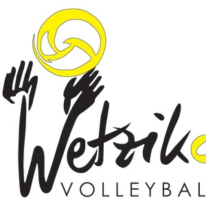 Club Logo VBC Wetzikon H1