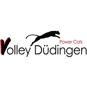 Club Logo Volley Düdingen F3 A