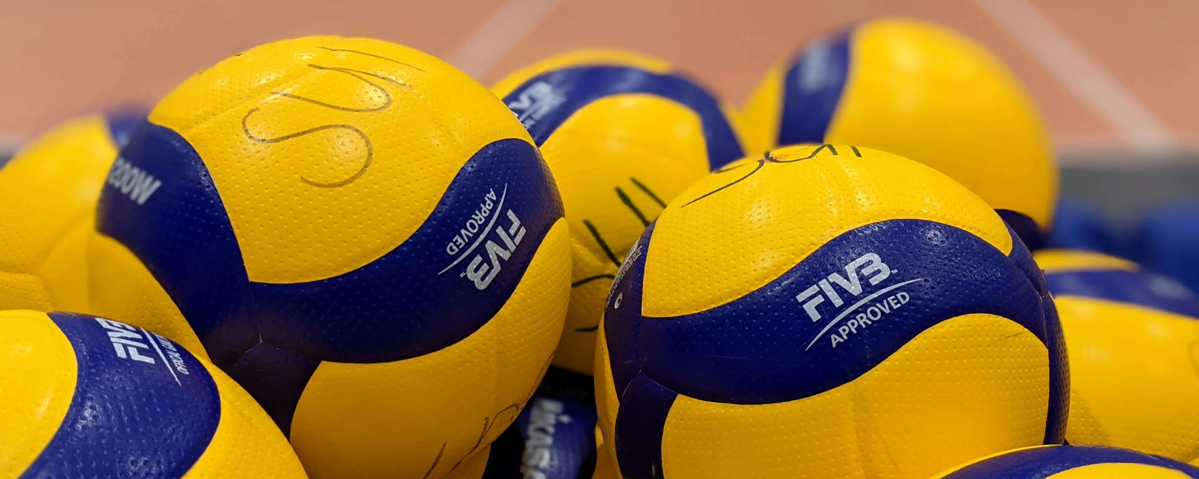 Foto: Swiss Volley